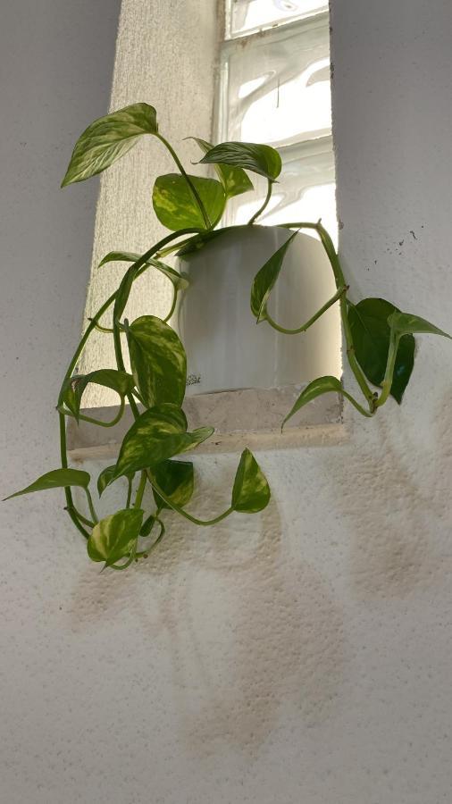 Locanda Le Ginestre Cantalupo in Sabina Bagian luar foto