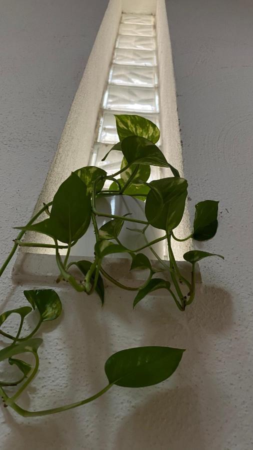 Locanda Le Ginestre Cantalupo in Sabina Bagian luar foto